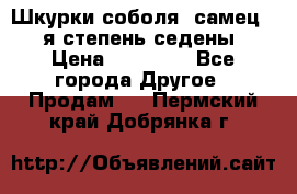 Шкурки соболя (самец) 1-я степень седены › Цена ­ 12 000 - Все города Другое » Продам   . Пермский край,Добрянка г.